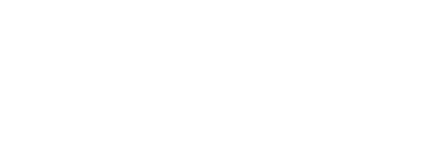 Timelix